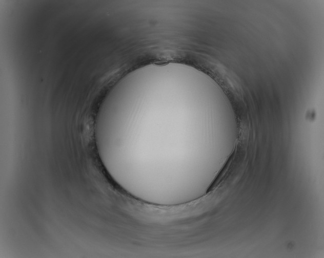 X0000093760043200711061121