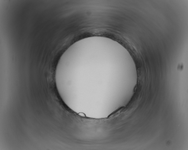 X0000093760044200711061121