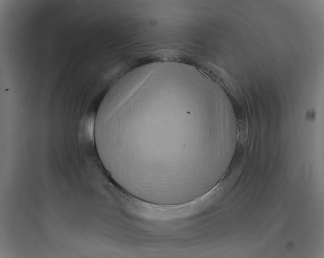 X0000093760047200711061121