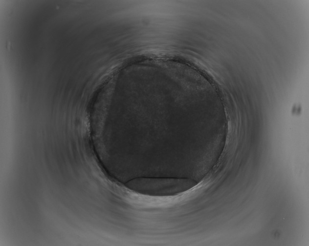 X0000093760048200711061121