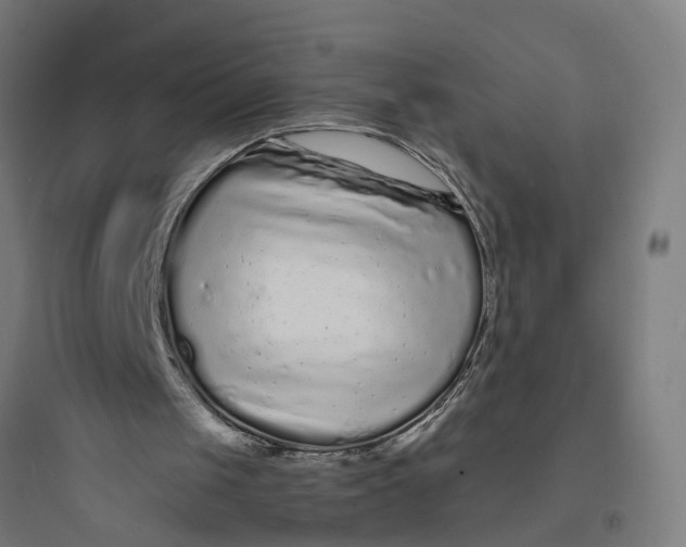 X0000093760049200711061120