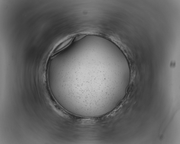 X0000093760050200711061120