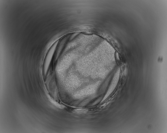 X0000093760051200711061120