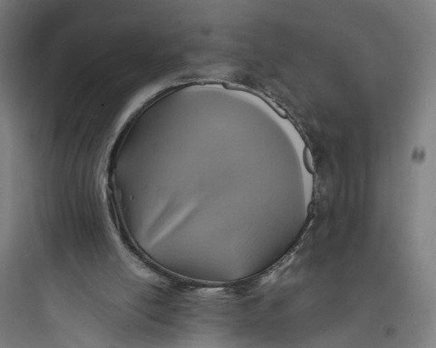 X0000093760054200711061120