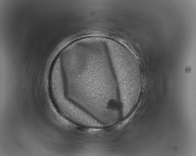 X0000093760055200711061120