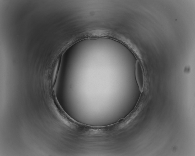 X0000093760057200711061120