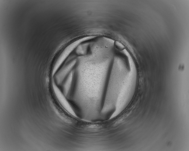 X0000093760059200711061120