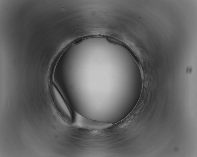 X0000093760060200711061120