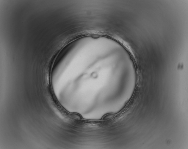 X0000093760061200711061120