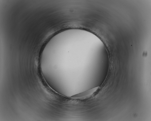 X0000093760063200711061120