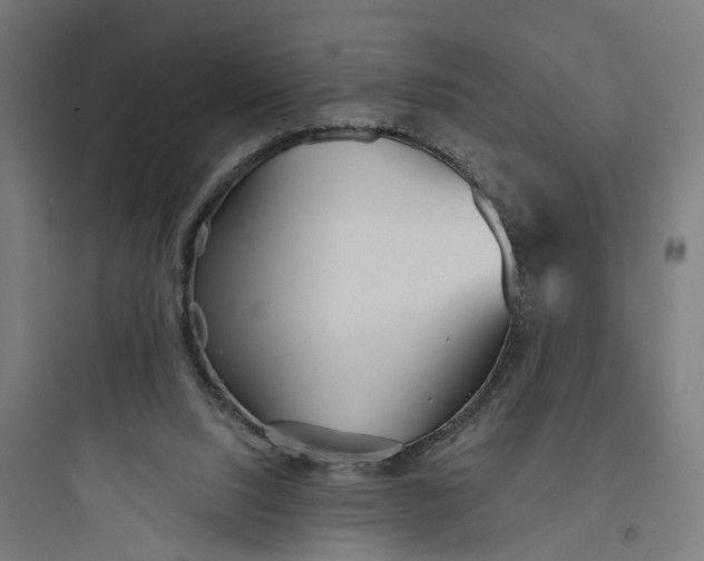 X0000093760064200711061120