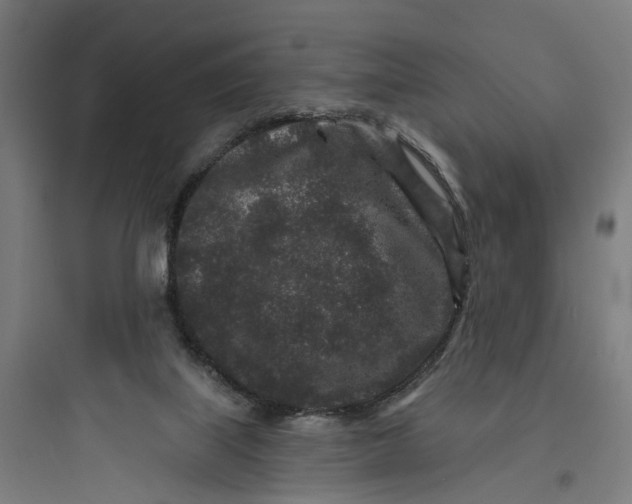 X0000093760067200711061120