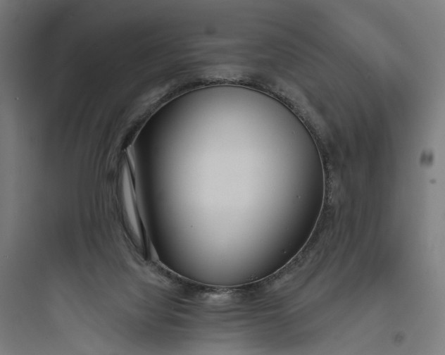 X0000093760068200711061120