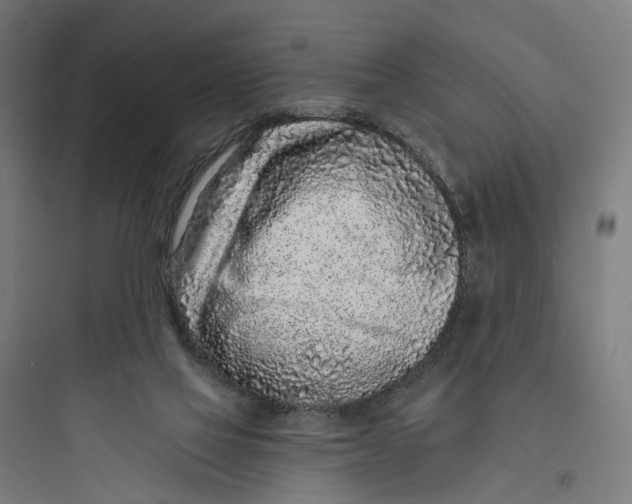 X0000093760069200711061120