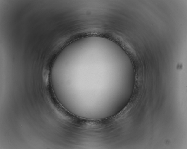 X0000093760070200711061120