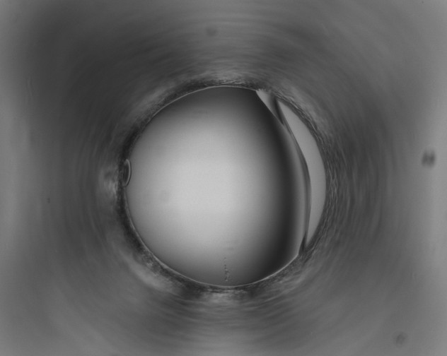 X0000093760072200711061120