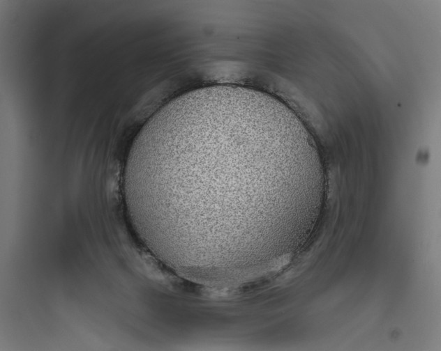 X0000093760073200711061120