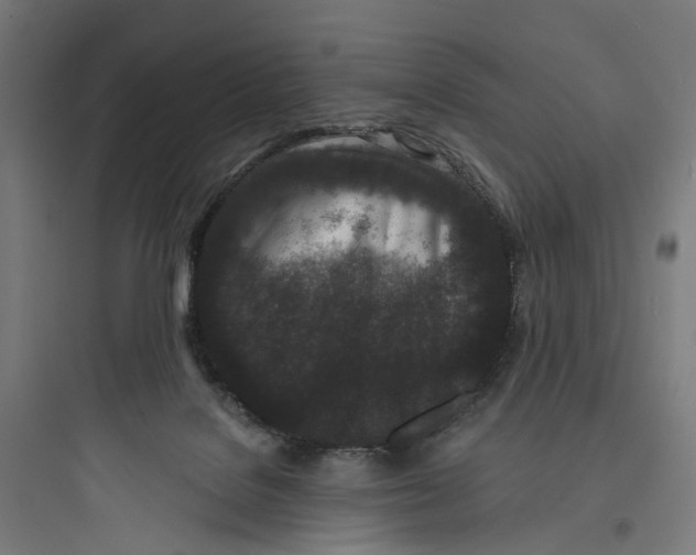 X0000093760076200711061120