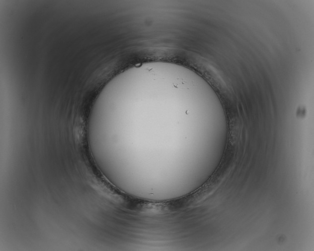 X0000093760077200711061120