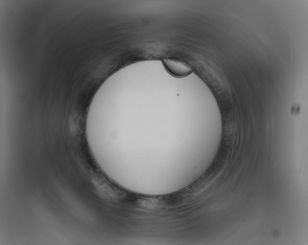 X0000093760079200711061120