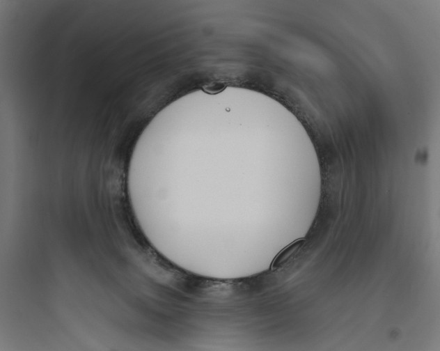 X0000093760083200711061120