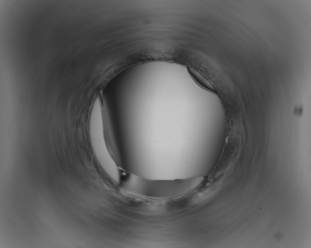 X0000093760084200711061120