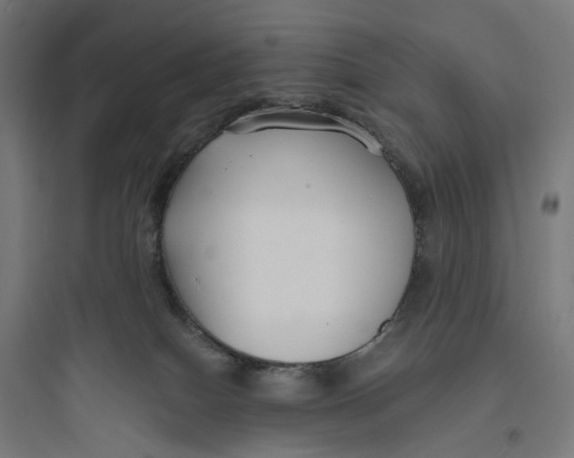 X0000093760086200711061120