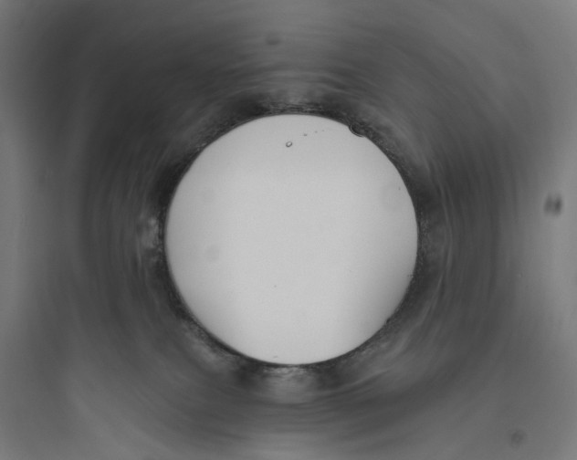 X0000093760087200711061120