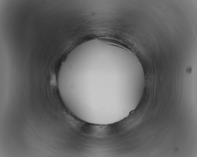 X0000093760089200711061120