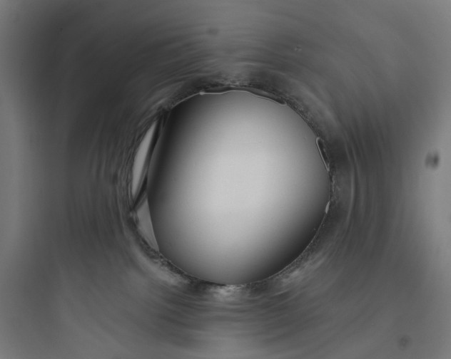 X0000093760092200711061120