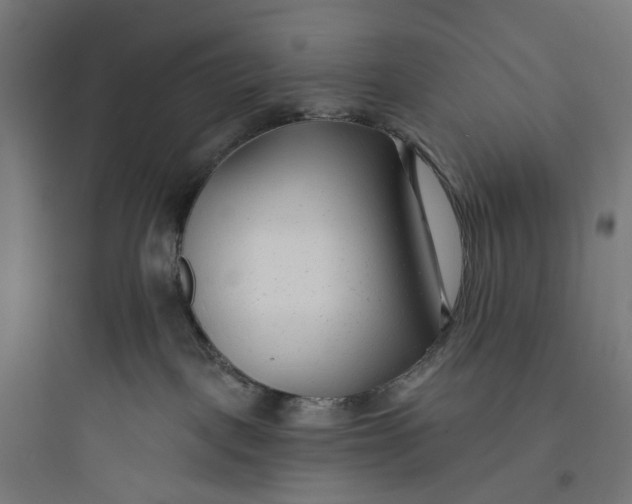 X0000093760093200711061120