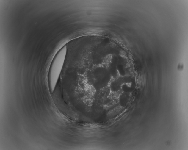 X0000093760099200711061120