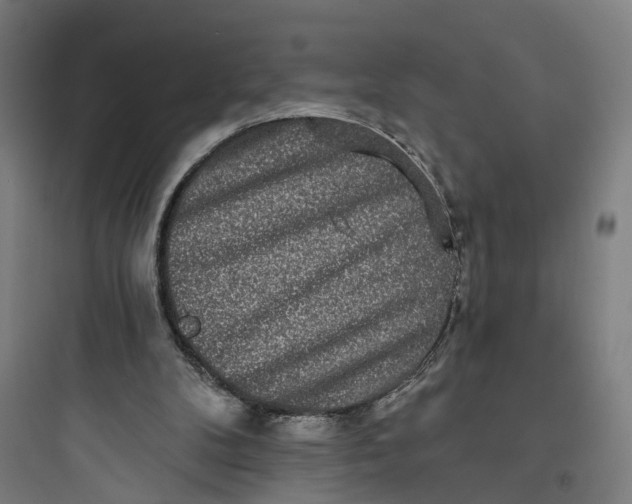 X0000093760104200711061120