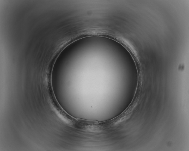 X0000093760105200711061120