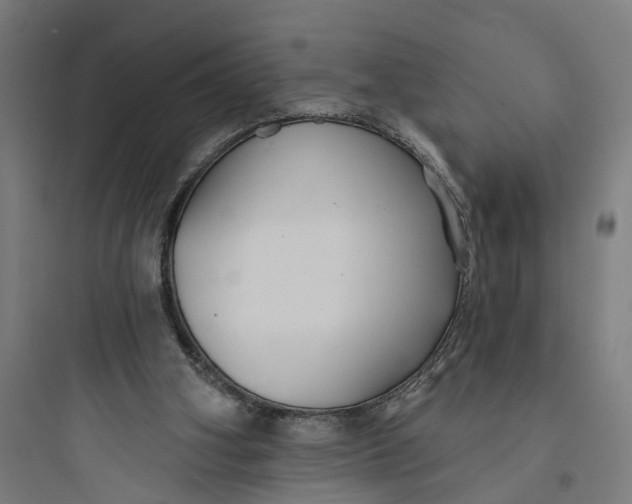 X0000093760106200711061120