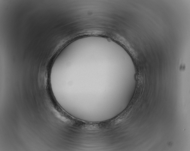 X0000093760110200711061120