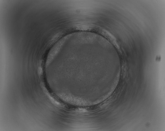 X0000093760114200711061120