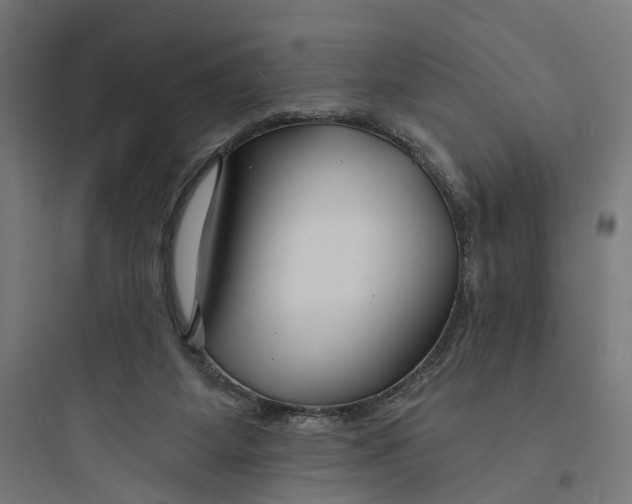 X0000093760115200711061120