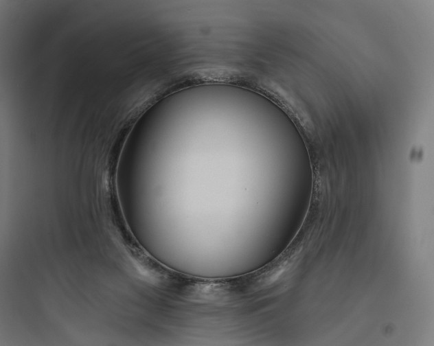 X0000093760117200711061120