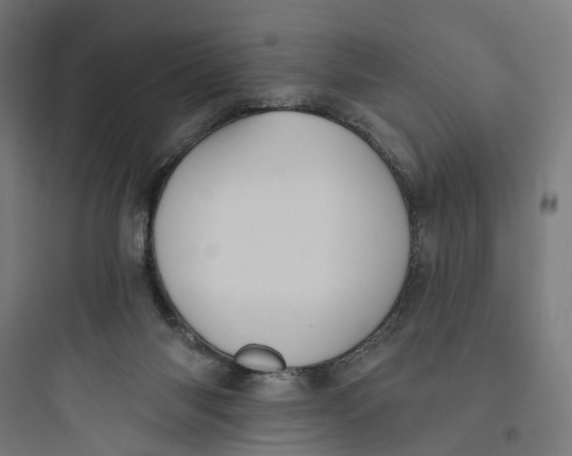 X0000093760118200711061120