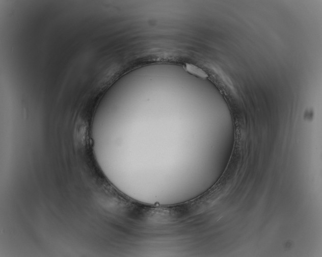 X0000093760123200711061119