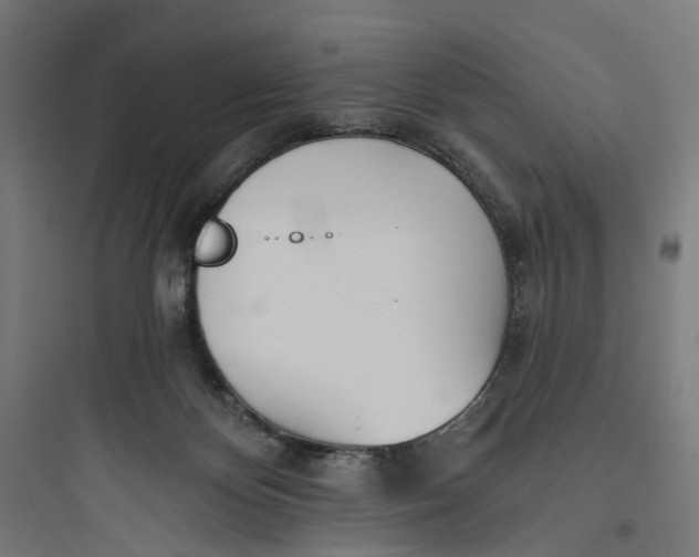 X0000093760124200711061119