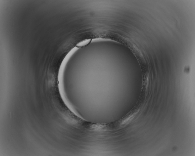 X0000093760139200711061119