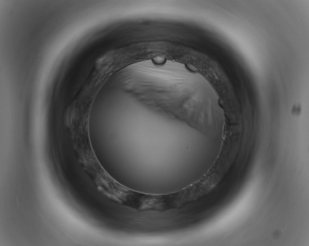 X0000093760143200711061119