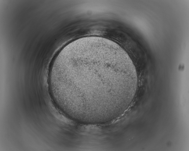 X0000093760146200711061119