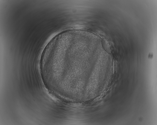 X0000093760147200711061119