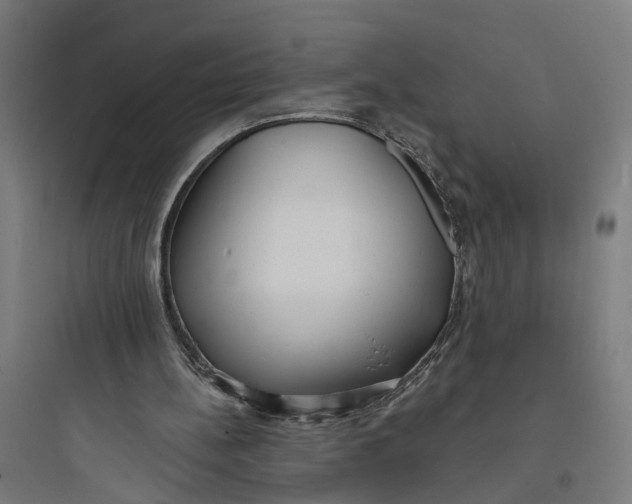 X0000093760148200711061119