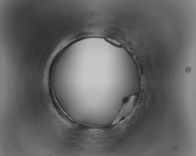 X0000093760150200711061119