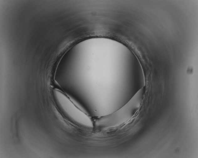 X0000093760154200711061119