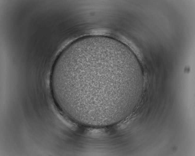 X0000093760155200711061119